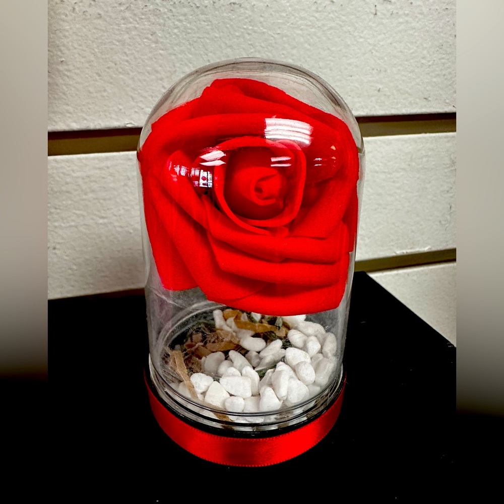 For Ever Red Rose in Plastic Dome